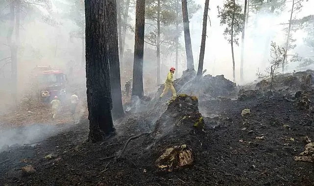 Muğla Valiliğinden 'Yangın' uyarısı