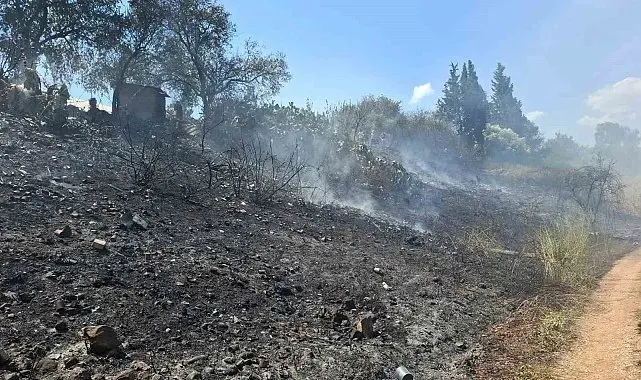 Serik'te yol kenarında çıkan otluk ve çalılık alan yangını söndürüldü