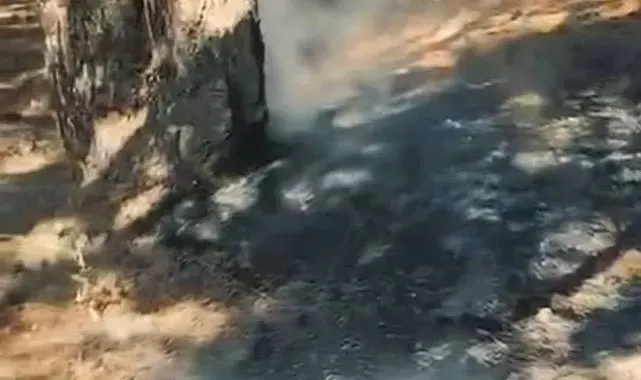 Simav Gölcük mesire alanında korkutan yangın