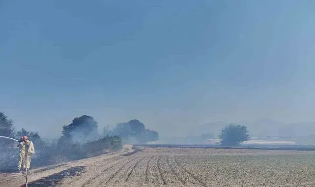 Antalya'da rüzgarın etkisiyle büyüyen anız yangını söndürüldü