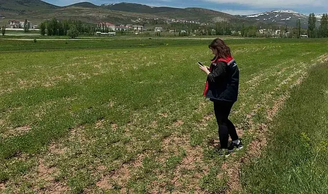 Aydıntepe'de ürün tespit çalışmaları sürüyor