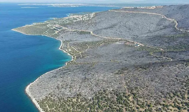 Yeşille maviyi orman yangını ayırdı