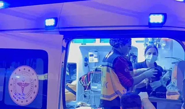 Semt pazarı yolunda kaza: İki kardeş yaralandı