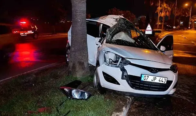 Refüjdeki palmiyeye çarpan otomobilin sürücüsü yaralandı