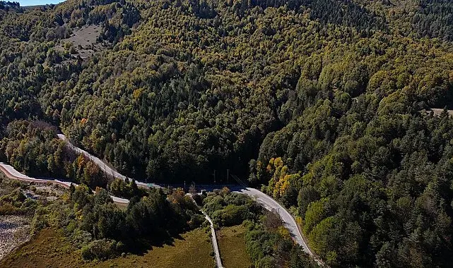 Bolu'da ormanlara giriş 30 Eylül'e kadar yasaklandı