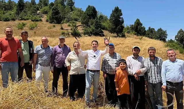 1200 rakımlı dağ köylerinde imece usulü hasat