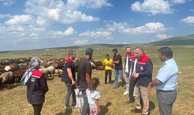 Kars'ta yaylalarda hayvancılığa yakın takip