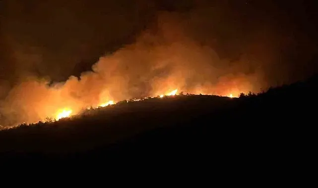 Milas'ta alevler geceyi aydınlattı
