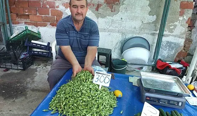 Burhaniye'de bamya üreticisine kazandırdı