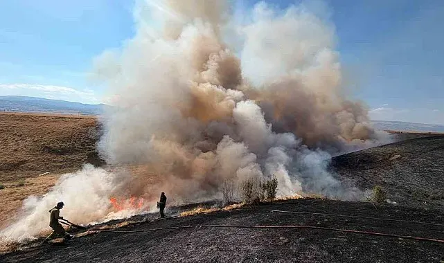 Bingöl'de arazi yangını: Bin dönüm buğday tarlası küle döndü