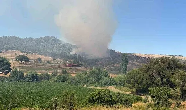 Kavaklıdere'deki yangına müdahale sürüyor
