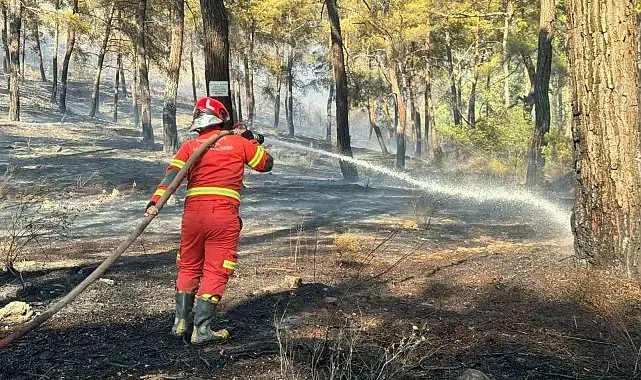 Ortaca'da orman yangını