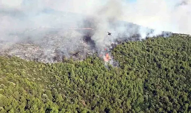 Milas yangınına havadan ve karadan müdahale sürüyor