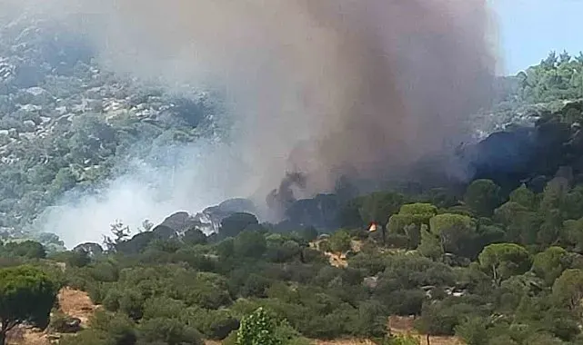 Muğla'da orman yangını