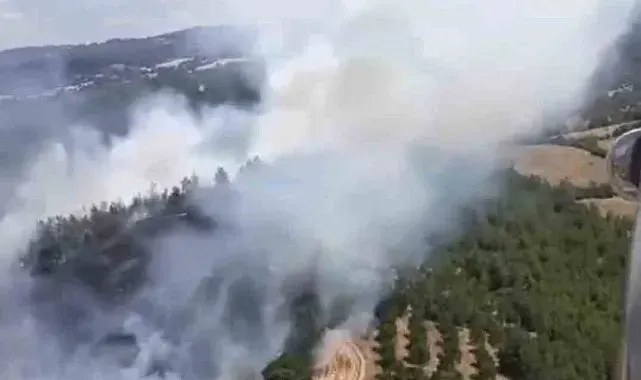 Altıeylül'de yangın