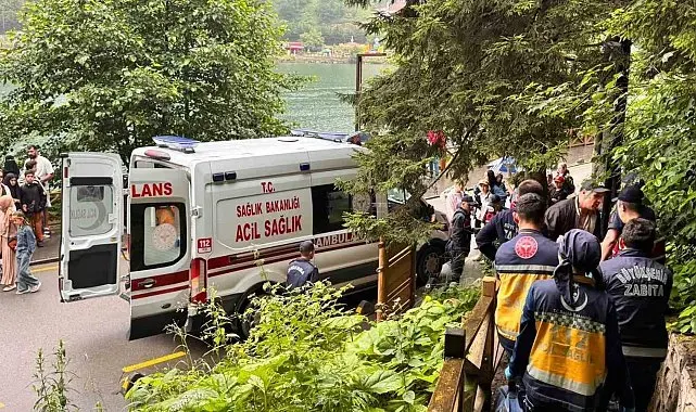 Uzungöl'de seyir terasından araç uçtu: 2 Arap turist yaralı