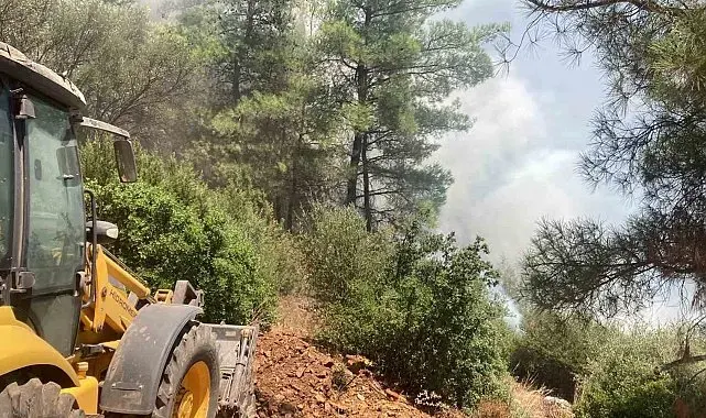 Rüzgarın büyüttüğü yangın 1 saatte söndürüldü