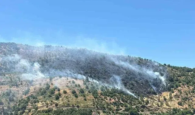 Sultanhisar'daki yangına havadan ve karadan müdahale sürüyor
