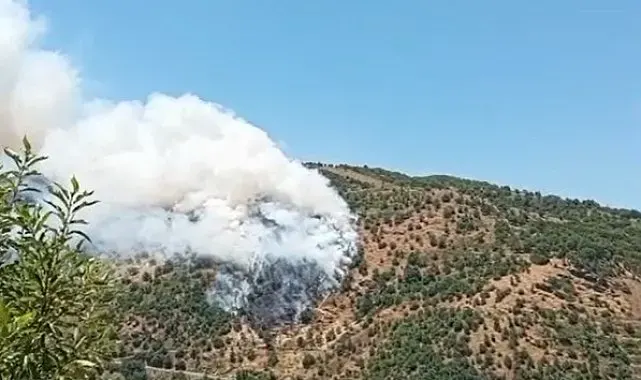 Sultanhisar'da makilik ve orman yangını