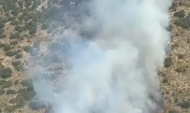 Demre'deki orman yangını kontrol altına alındı