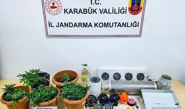 Karabük'te uyuşturucu operasyonu: Skunk serası ortaya çıkarıldı