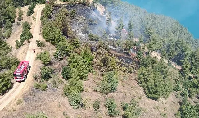 Kahramanmaraş'ta orman yangını