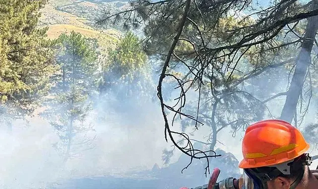 Saimbeyli'de çıkan orman yangını kontrol altına alındı