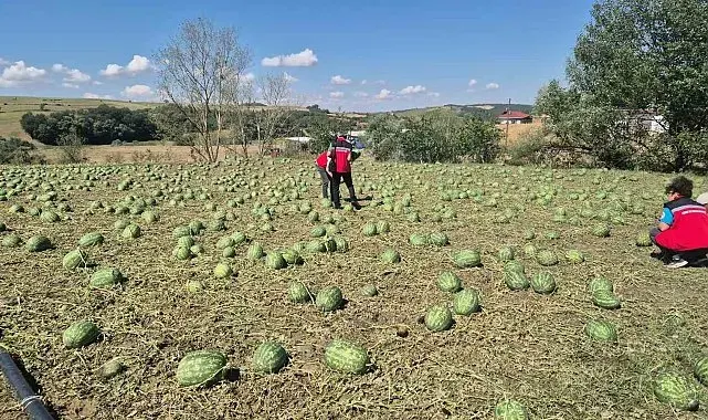Süper hücre Tekirdağ'ı vurdu: 4 köy zarar gördü