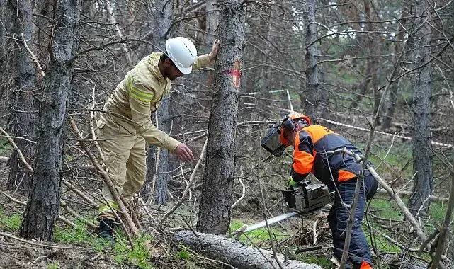 Erzurum'un akciğerlerine planlı dokunuş