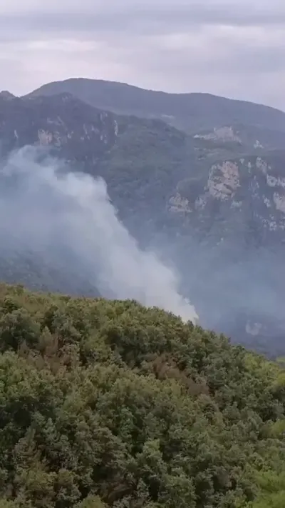 Hatay'da Orman Yangını: Ekipler Havadan ve Karadan Müdahale Ediyor