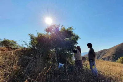 Erzincan'da Zorlu Mesai: Doğal Kuşburnu Marmelatı Yapımı