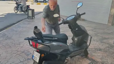 Hatay’da Mahallelinin Dostu Karganın Para Çalma Anı Kamerada: 'Paramı Ver' Çağrısını Umursamadı
