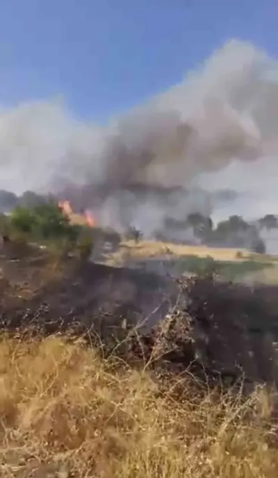 Diyarbakır Çüngüş’te Yangın: Üzüm Bağları Zarar Gördü