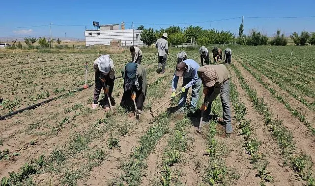 Acil tıp uzmanından hayat kurtaran uyarılar