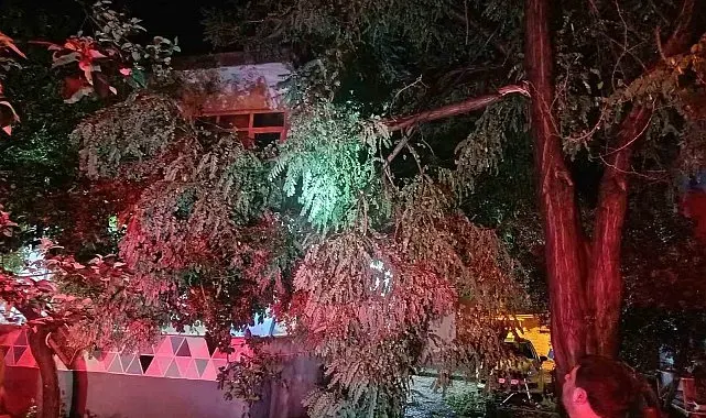 Erdek'te fırtına ve dolu yağışı: Ağaçlar devrildi, çatılar uçtu