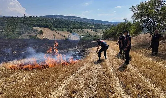 Korkutan anız yangını havadan ve karadan müdahaleyle kontrol altına alındı