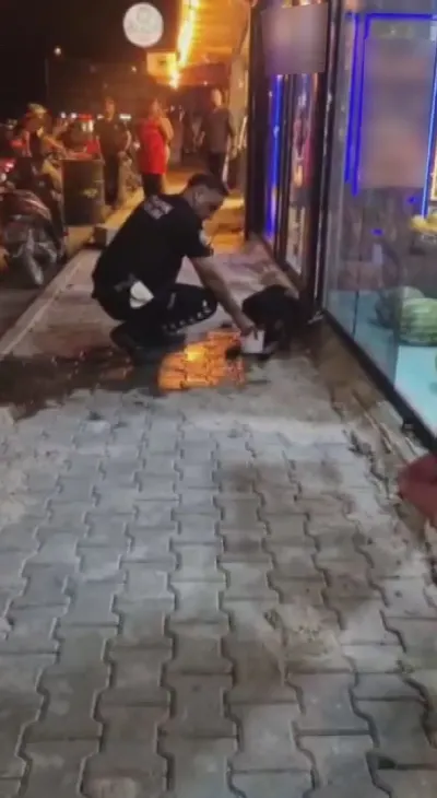 Hatay'da silahla vurulan sokak köpeğine polis şefkati: Tedavi altına alındı