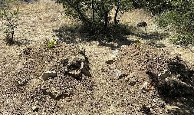 Kiraz yedikten sonra zehirlenerek öldükleri iddia edilen çift yan yana toprağa verildi