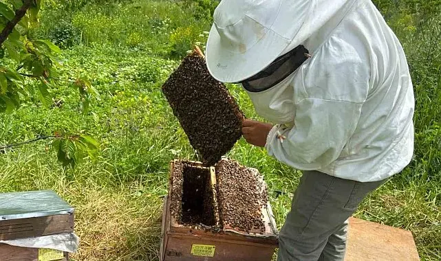 Artvin'de bal hasat sezonu öncesi üreticilerle buluşma