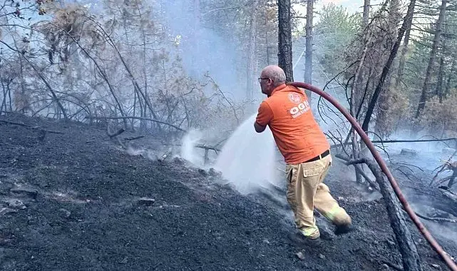 Karabük'te çıkan örtü yangını kontrol altına alındı