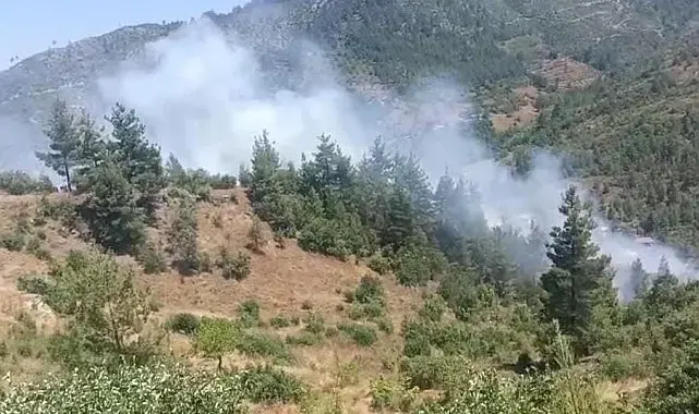 Adana'da orman yangını