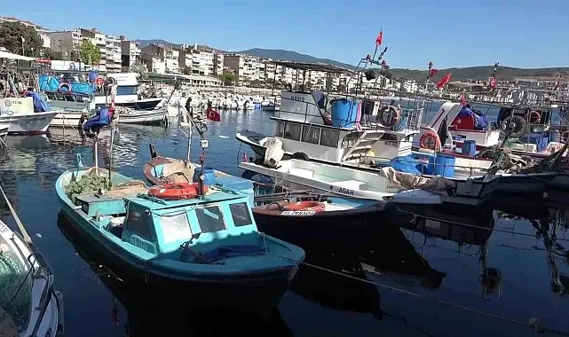 Marmara'nın emektar balıkçıları, müsilaj ve bilinçsiz avlanmadan şikayetçi