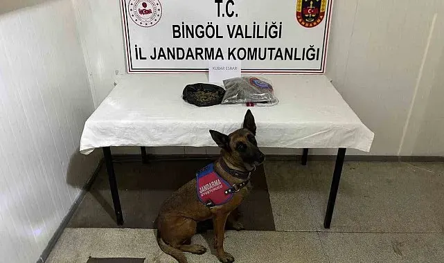 Bingöl'de haklarında kesinleşmiş hapis cezası bulunan 4 zanlı tutuklandı