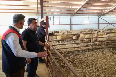 Tunceli’de Yüzde 50 Hibe Desteğiyle Hayata Geçirilen Hayvancılık Yatırımı Üreticiye Güç Veriyor