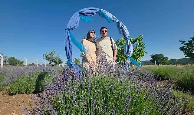 Kütahya'da lavanta bahçesi kırsal turizmin gözdesi oldu