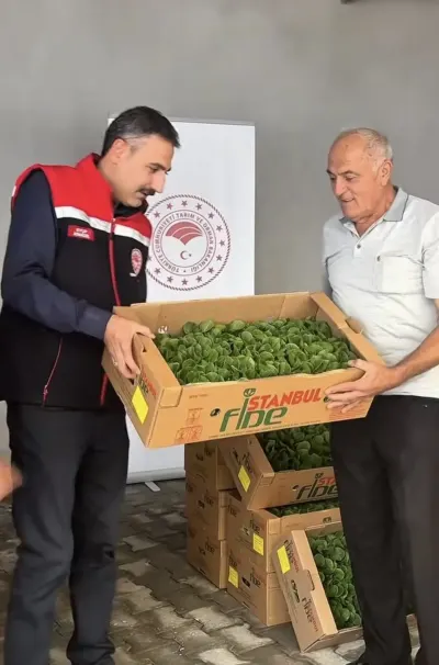 Burdur'da Üreticilere Yüzde 75 Hibeyle 164 Bin 500 Marul Fidesi Dağıtıldı