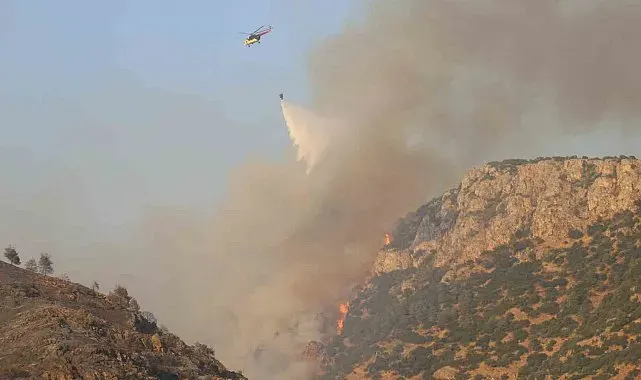 Dünyaca ünlü travertenlerin yakınındaki ormanlık alanda yangın