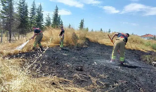 Edirne'de alevlerin arasında kalan kaplumbağa kurtarıldı
