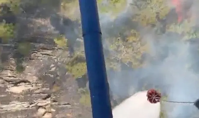 Bozdoğan'daki orman yangını ekiplerin hızlı müdahalesi ile kontrol altına alındı