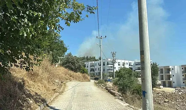 Yerleşim yerlerine yakın makilik alandaki yangın korkuttu